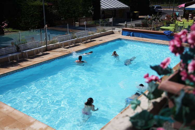 Piscine et fleurs